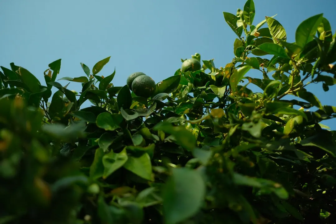 湖南中小企业财税咨询新趋势:鲲发管理解析合规降负路径正文配图 1